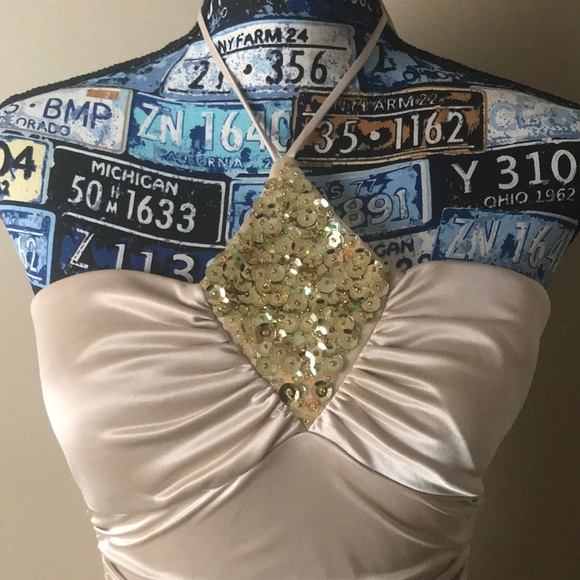 Champagne Formal Gown with Gold embellishments - Picture 3 of 6